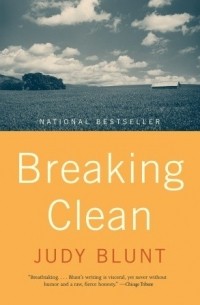 Джуди Блант - Breaking Clean