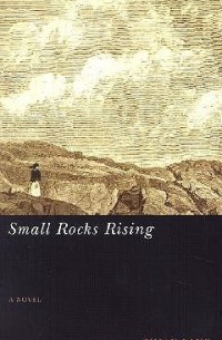 Сьюзан Лэнг - Small Rocks Rising