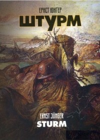 Эрнст Юнгер - Штурм