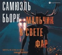 Самюэль Бьорк - Мальчик в свете фар