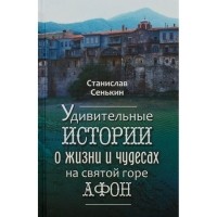Станислав Сенькин - Удивительные истории о жизни и чудесах на Святой горе Афон (сборник рассказов)