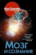 Мозг и сознание. Разгадка величайшей тайны человеческого мозга