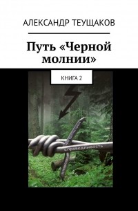 Александр Теущаков - Путь «Черной молнии». Книга 2