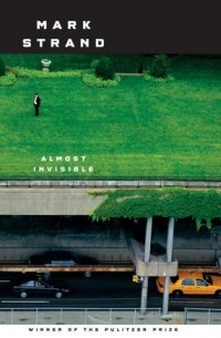 Almost Invisible: Poems