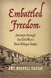 Эми Мюррелл Тейлор - Embattled Freedom: Journeys Through the Civil War's Slave Refugee Camps