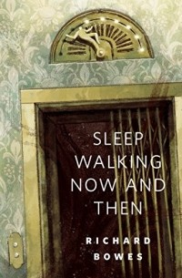 Richard Bowes - Sleep Walking Now and Then