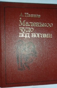 Александр Иванов - Маленькое чудо под ногами (сборник)