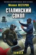 Сталинский сокол. Комэск