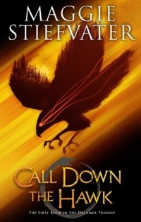 Maggie Stiefvater - Call Down the Hawk