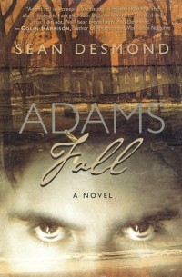 Sean Desmond - Adams Fall