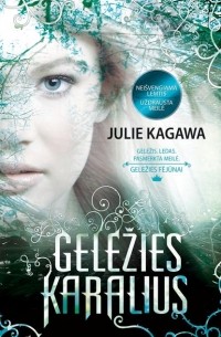 Julie Kagawa - Geležies karalius