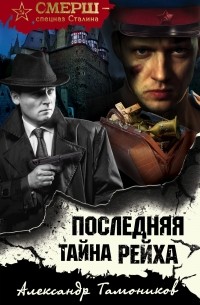 Александр Тамоников - Последняя тайна рейха