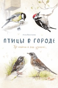 Анна Васильева - Птицы в городе. Где найти и как узнать