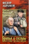 Братья и сестры. В 4-х книгах. 1 и 2 книги. Братья и сестры. Две зимы и три лета