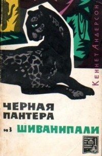 Черная пантера из Шиванипали