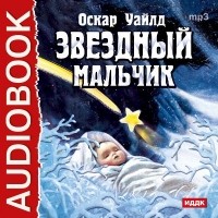 Оскар Уайльд - Звездный мальчик. Волшебные башмаки  (сборник)