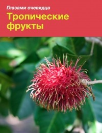 Екатерина Пугачева - Тропические фрукты