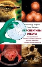  - Перспективы отбора
