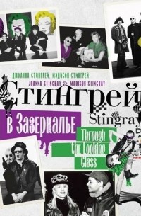 Стингрей в Зазеркалье