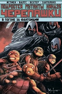 Подростки Мутанты Ниндзя Черепашки. Том 14. В погоне за Фантомами