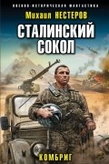 Сталинский сокол. Комбриг