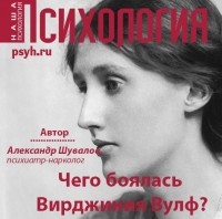 Александр Шувалов - Чего боялась Вирджиния Вулф?