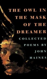 Джон Мид Хейнс - The Owl in the Mask of the Dreamer: Collected Poems
