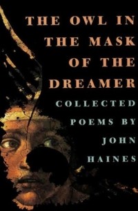 Джон Мид Хейнс - The Owl in the Mask of the Dreamer: Collected Poems