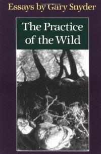 Гэри Снайдер - Practice of the Wild