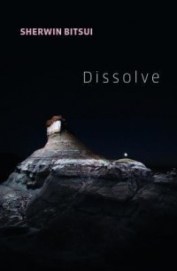 Sherwin Bitsui - Dissolve
