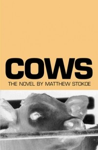 Cows