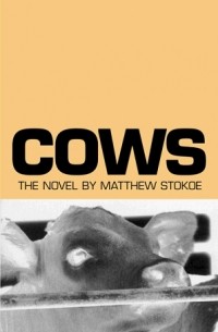 Matthew Stokoe - Cows