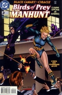  - Birds of Prey: Manhunt