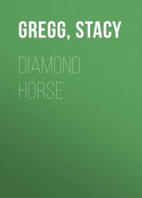 Stacy  Gregg - Diamond Horse