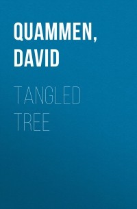 Дэвид Куаммен - Tangled Tree