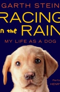 Гарт Стайн - Racing in the Rain