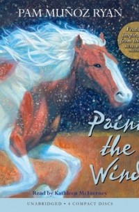 Paint the Wind