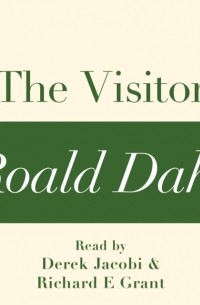 The Visitor