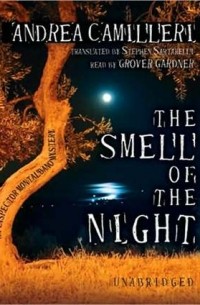 Smell of the Night