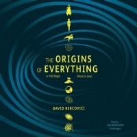 Дэвид Берковичи - The Origins of Everything in 100 Pages (More or Less)