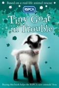 Mary Kelly - Tiny Goat in Trouble