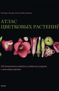  - Атлас цветковых растений: 200 ботанических семейств в необычных ракурсах и мельчайших деталях