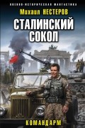 Михаил Нестеров - Сталинский сокол. Командарм