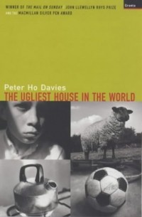 Peter Ho Davies - The Ugliest House in the World