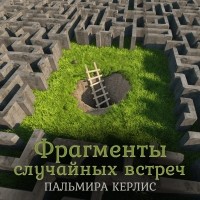 Пальмира Керлис - Фрагменты случайных встреч (сборник)