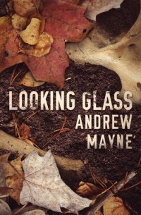 Andrew Mayne - Looking Glass