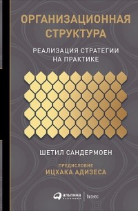 Шетил Сандермоен - Организационная структура. Реализация стратегии на практике