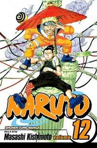 Naruto, Vol. 12: The Great Flight