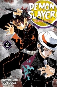Demon Slayer: Kimetsu no Yaiba, Vol. 2