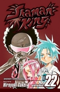 Shaman King, Vol. 22: Epilogue III